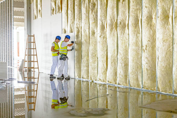 Best DIY Insulation Kits and Guidance in Bardonia, NY